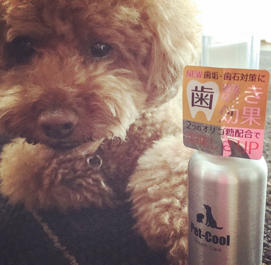 PET-COOL BREATH CARE 防牙石除口氣噴霧60ml